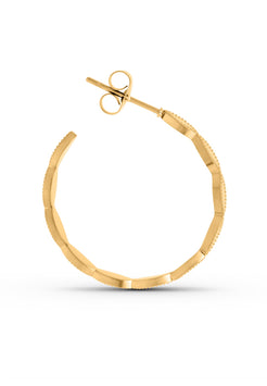 Gold hoop earring on a white background