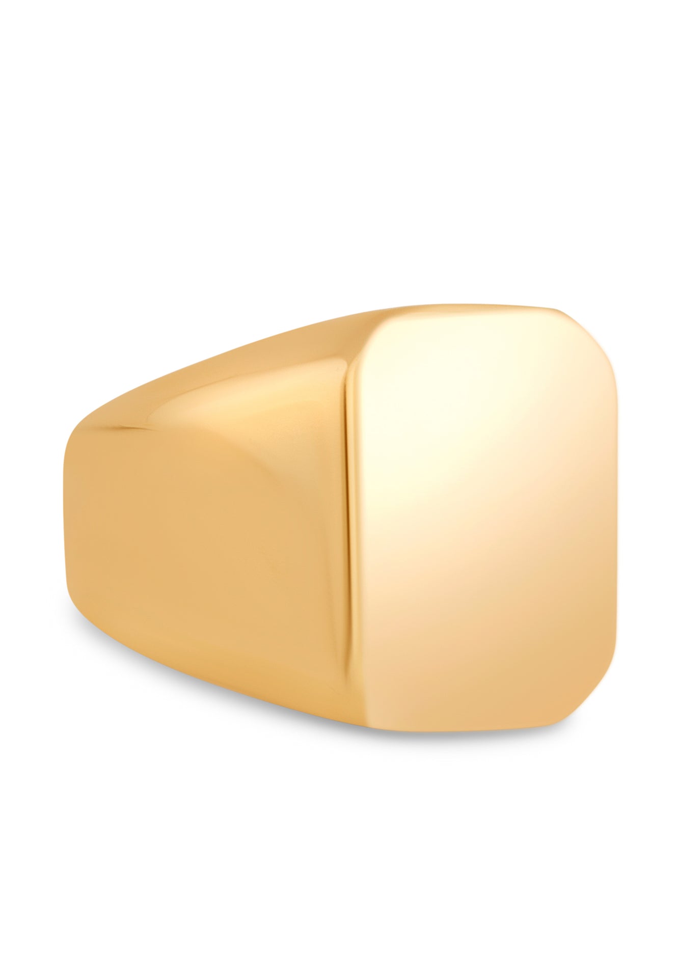 Akitsune-Iustitia-Signet-Ring-Gold-Side