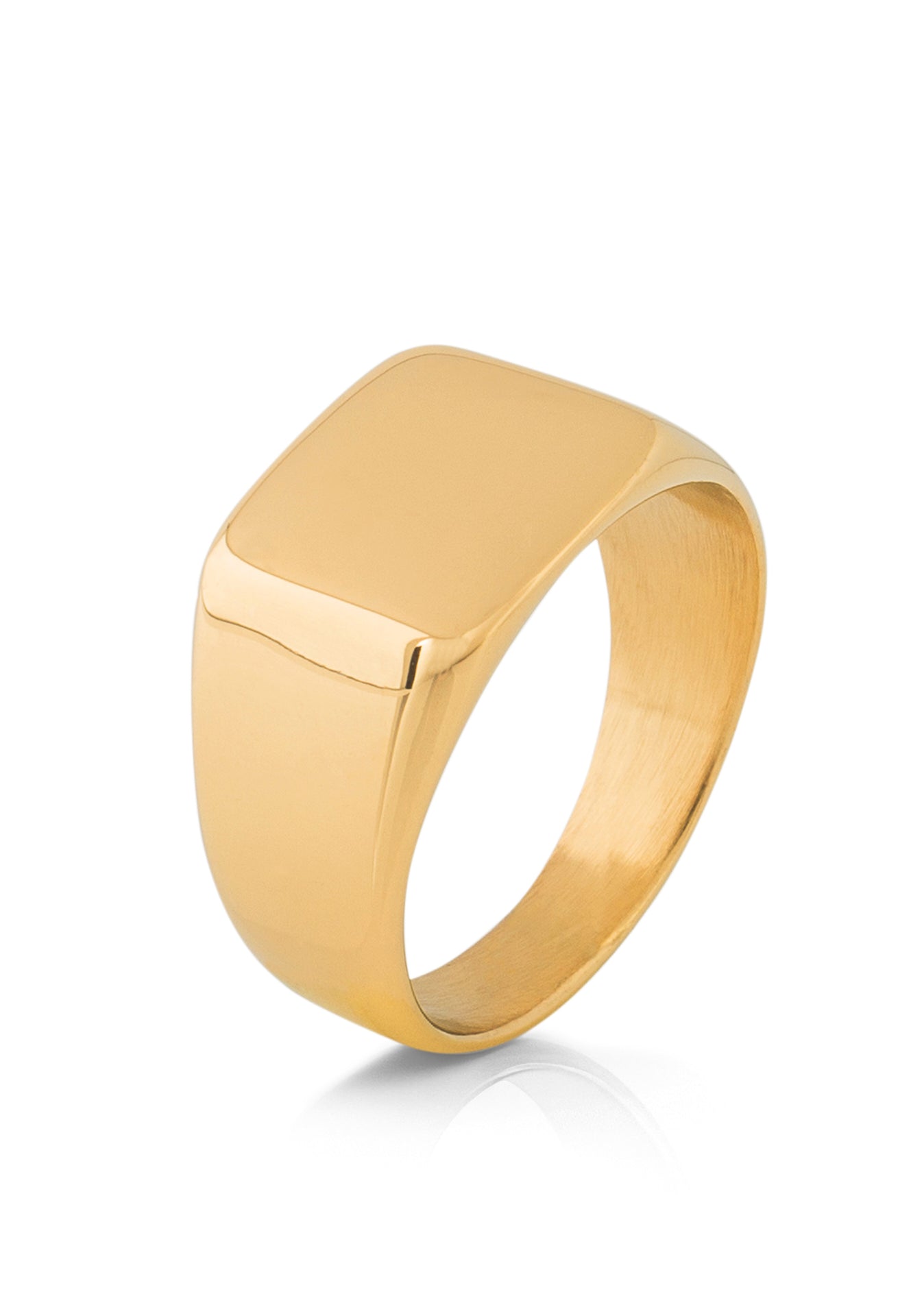 Akitsune-Solida-Signet-Ring-Gold-Slim-Side