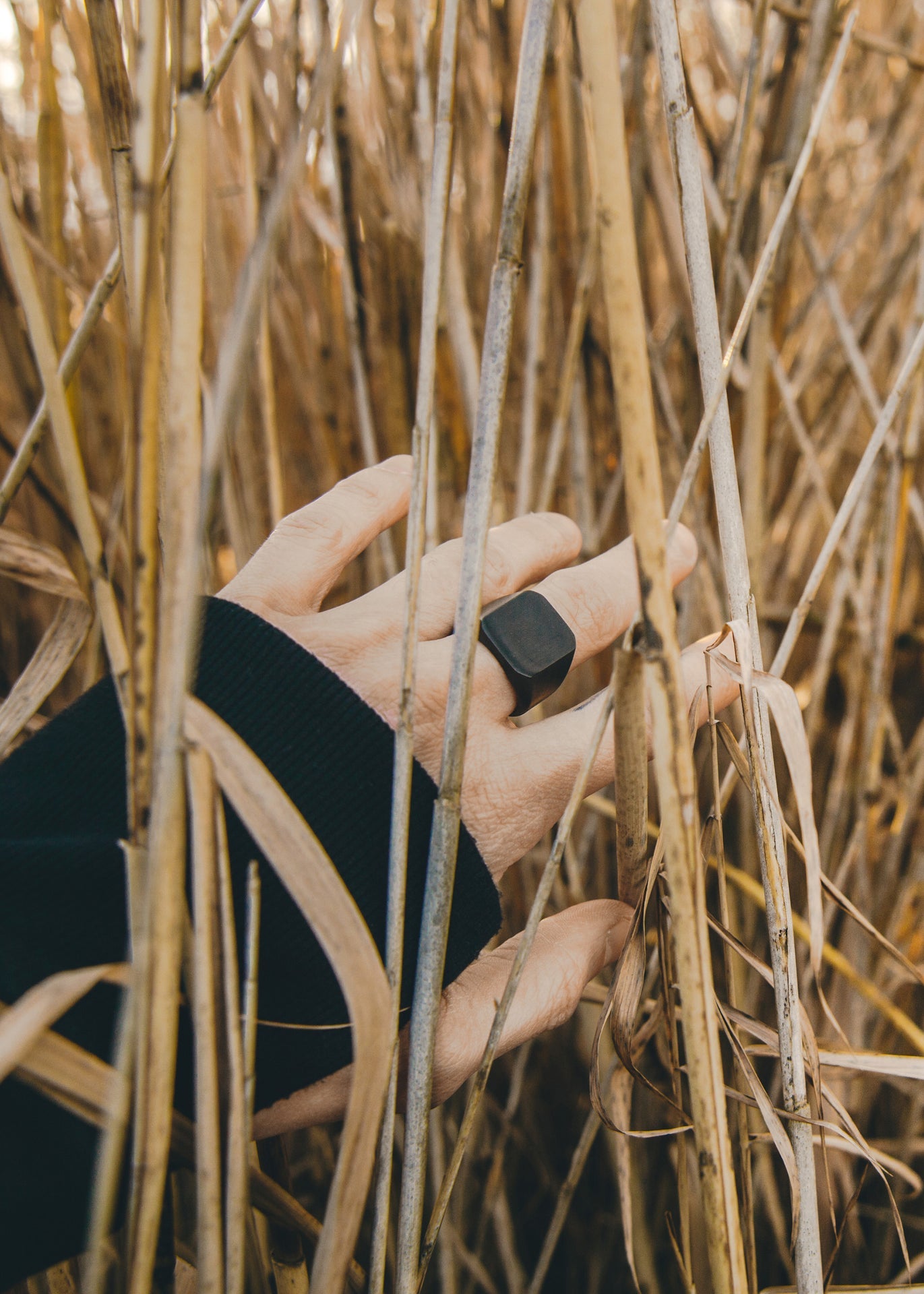 Iustitia-Ring-Black-Hand-2